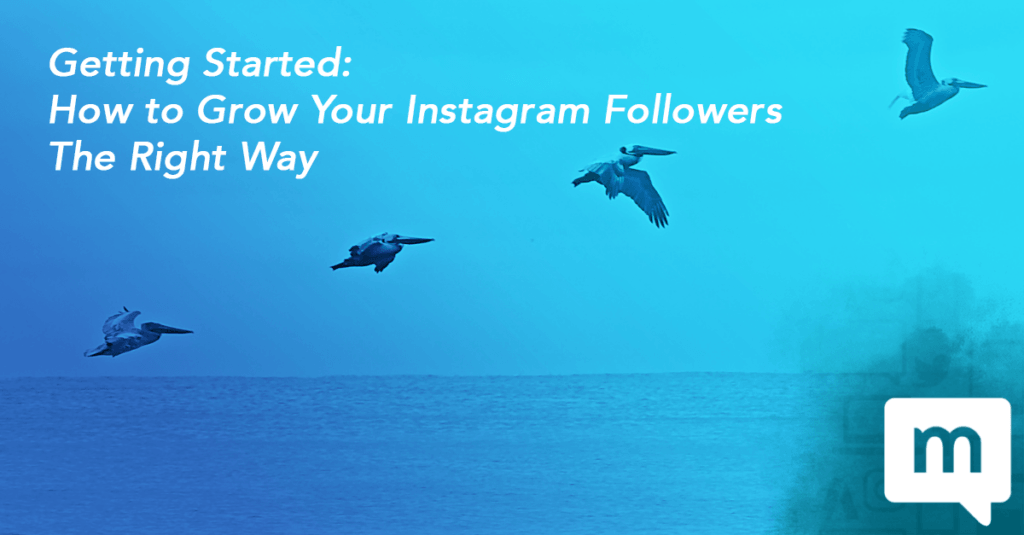 Getting Started: How to Grow Your Instagram Followers The Right Way